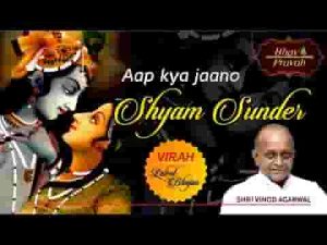 आप क्या जानो ऐ श्याम सुन्दर भजन लिरिक्स