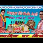 नागौरी तो प्यारो घणों लागे जी