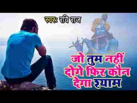जो तुम नहीं दोगे फिर कौन देगा श्याम भजन लिरिक्स