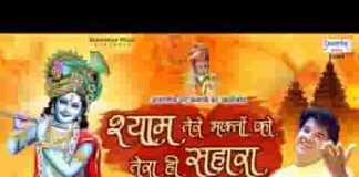 श्याम तेरे भक्तों को तेरा ही सहारा है भजन लिरिक्स