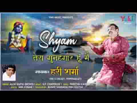 अपनी करनी पे खुद सांवरे लाचार हूँ मैं भजन लिरिक्स