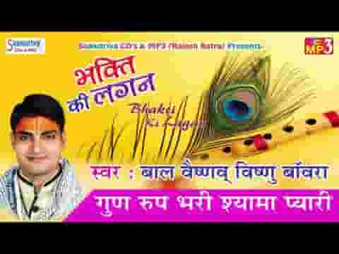 गुण रूप भरी श्यामा प्यारी रस रूप भरे मेरे बाँके बिहारी लिरिक्स