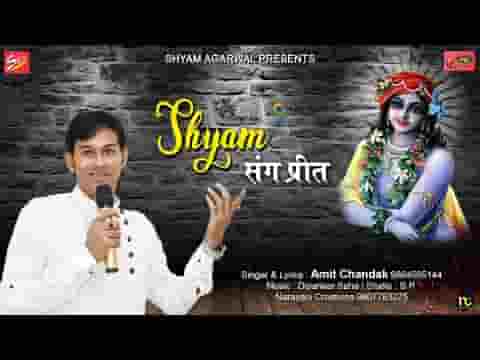 श्याम धणी संग जबसे प्रीत लगाई है भजन लिरिक्स