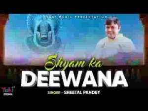 सारा जमाना ओ श्याम का दीवाना भजन लिरिक्स