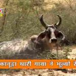 कलजल कलपे गौ कालजो करे है विनय करतार