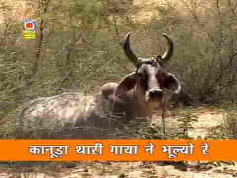 कलजल कलपे गौ कालजो करे है विनय करतार