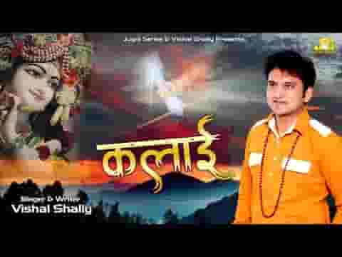 तूने पकड़ी मेरी कलाई किसी से अब क्या लेना भजन लिरिक्स