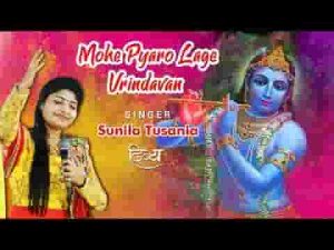 मोहे प्यारो लगे वृन्दावन कोई हाथ पकड़ पहुंचा देना लिरिक्स