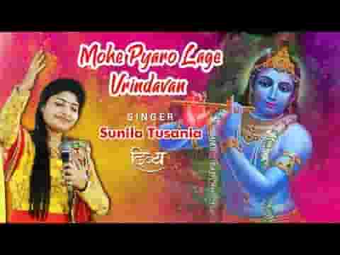 मोहे प्यारो लगे वृन्दावन कोई हाथ पकड़ पहुंचा देना लिरिक्स