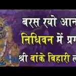 बरस रयो आनंद निधिवन में प्रगटे श्री बांके बिहारी लाल लिरिक्स