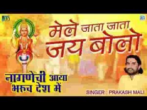 मेले जाता जाता जय बोलो नागणेच्या माता की