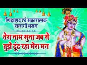तेरा नाम सुना जबसे तुझे ढूंढ रहा मेरा मन भजन लिरिक्स