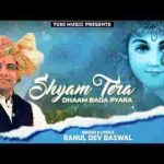 श्याम तेरा धाम बड़ा प्यारा खाटू का नज़ारा भजन लिरिक्स