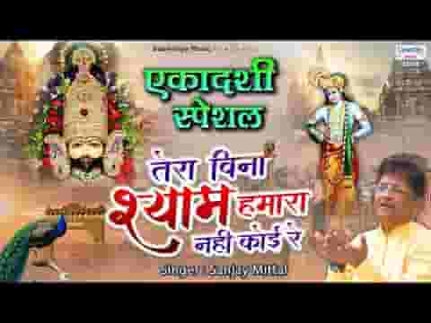 तेरे बिना श्याम हमारा नहीं कोई रे भजन लिरिक्स