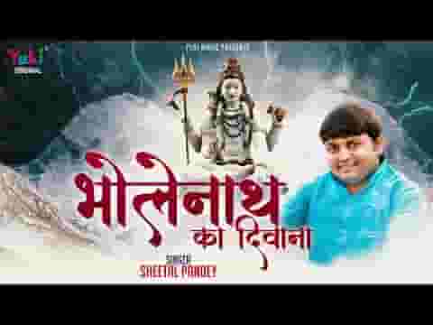 सारा जमाना मेरे भोले का दीवाना भजन लिरिक्स