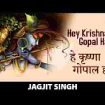 हे कृष्ण गोपाल हरि हे दीन दयाल हरि भजन लिरिक्स
