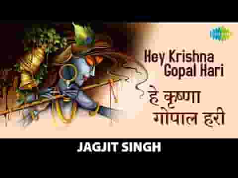 हे कृष्ण गोपाल हरि हे दीन दयाल हरि भजन लिरिक्स