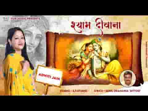 मेरा दिल है श्याम दीवाना दुनिया मारे ताना भजन लिरिक्स
