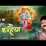 राधा का चितचोर कन्हैया भा गया हमें भा गया लिरिक्स