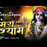 मेरा श्याम तू अकेला लाखों तेरे दीवाने भजन लिरिक्स