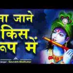 श्याम प्रभु का ध्यान लगा ले हर पल हर दिन सुबहो शाम लिरिक्स