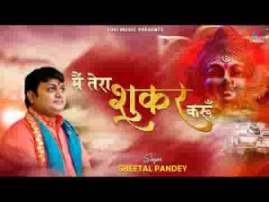 मैं तेरा शुकर करूँ काहे फिकर करूँ भजन लिरिक्स