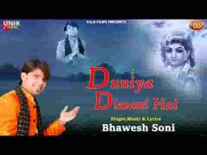 इनकी दुनिया दीवानी है बस अर्जी से बनती कहानी है लिरिक्स