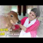 गैया के प्राण पुकार रहे गोविन्द बिन कौन सहाय करे लिरिक्स