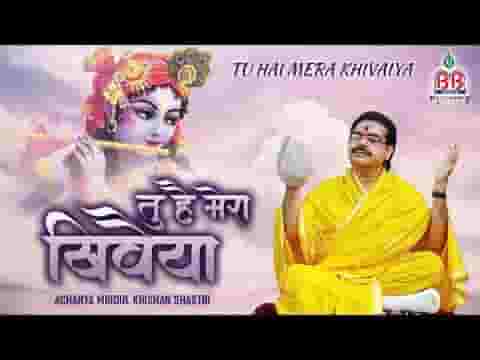 तू है मेरा खिवैया मैं हूँ तेरी नैया हिंदी भजन लिरिक्स