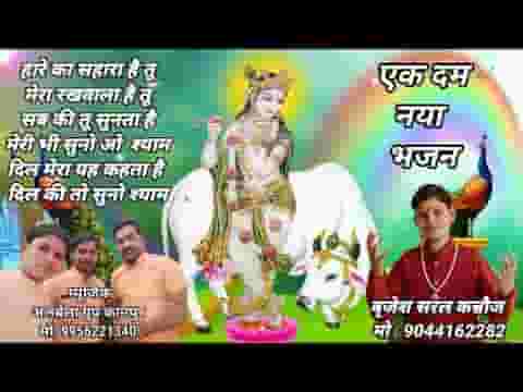 हारे का सहारा है तू मेरा रखवाला है तू भजन लिरिक्स