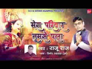 तेरे दर से माँ इतना मिला मेरा परिवार तुमसे पला भजन लिरिक्स