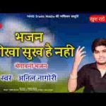 भजन सरीसा सुख है नहीं करके देख लो विचारा लिरिक्स