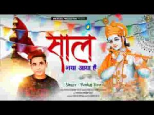 साल नया ये आया है दिल खुशियों से भरमाया है लिरिक्स