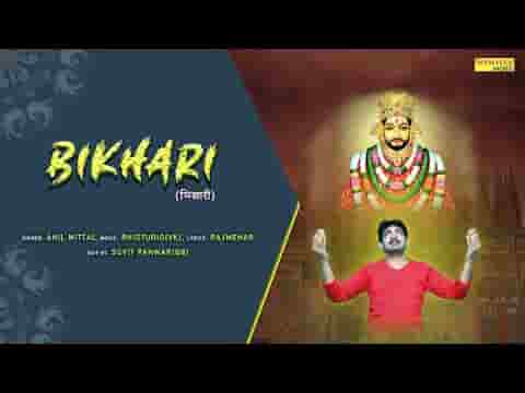 मैं हूँ तेरा ऐसा भिखारी पड़ा रहूं बस तेरे द्वार भजन लिरिक्स