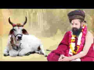 पंछीड़ा लाल लीला छ कमाल लीलाधर की भजन लिरिक्स