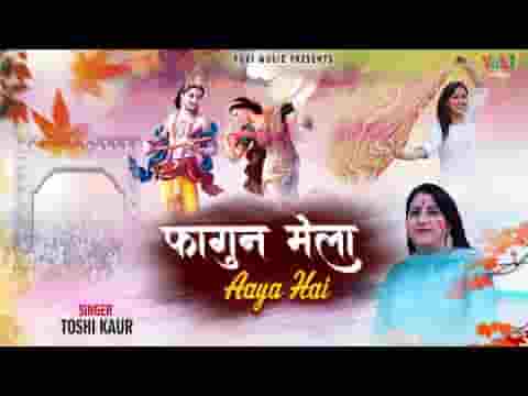 फागण मेला आया है उड़े रंग गुलाल भजन लिरिक्स