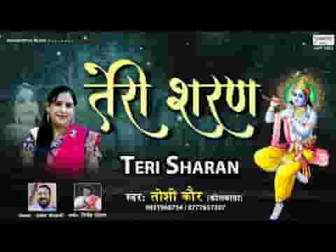 तेरी शरण हम आ गए बाबा कृपा करो भजन लिरिक्स