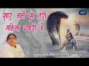सारे जहाँ से तेरी महिमा न्यारी है शिव भजन लिरिक्स