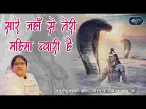 सारे जहाँ से तेरी महिमा न्यारी है शिव भजन लिरिक्स