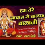 हम तेरे नादान से बालक तुम दया के सागर हो लिरिक्स