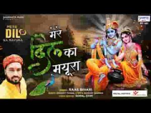 मेरे दिल का मयूरा भागे खाटू धाम ग्यारस भजन लिरिक्स