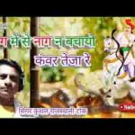 आग में से नाग ने बचायो कंवर तेजा रे भजन लिरिक्स