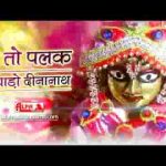 थे तो पलक उघाड़ो दीनानाथ मीराबाई भजन लिरिक्स