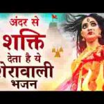 संकट हरनी मंगल करनी कर दो बेडा पार भजन लिरिक्स