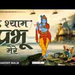 हे श्याम प्रभु मेरी ये विनती सुन लेना लिरिक्स
