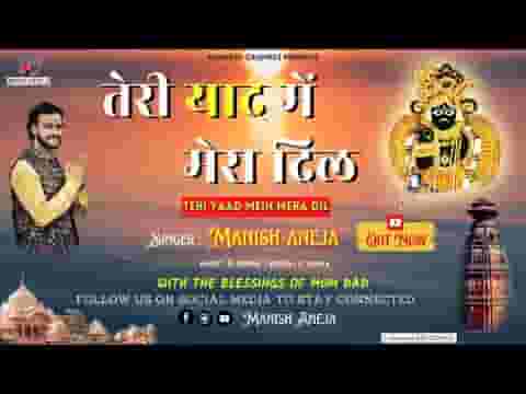 तेरी याद में मेरा दिल बेकरार हो रहा है भजन लिरिक्स