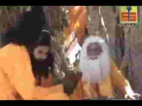 दुनिया भोली रे भोली हरदम करे ठिठोली लिरिक्स