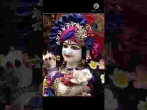 मेरे मन बस गयो रे सांवरिया गिरधारी लिरिक्स