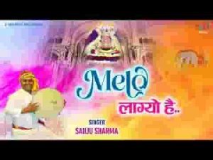 चलो श्याम धणी के धाम के मेलो लाग्यो है लिरिक्स