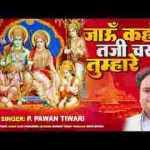 जाऊं कहाँ तजि चरण तुम्हारे भजन लिरिक्स